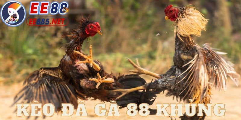 đá gà 88